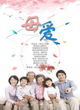 一等奖管理工程学院19级电子商务七班贾蒙蒙1